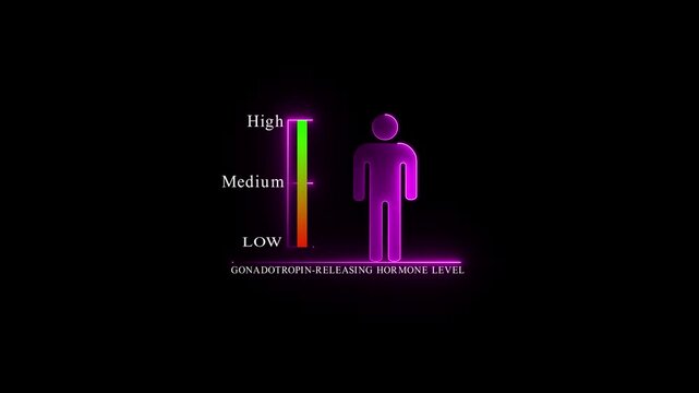 Gonadotropin Releasing Hormone Level Indicator with Male Silhouette.4k Animation.