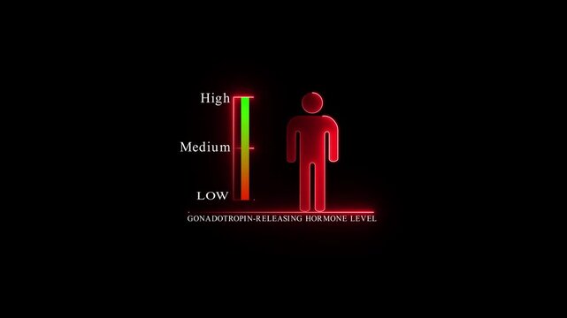 Gonadotropin Releasing Hormone Level Indicator with Male Silhouette.4k Animation.