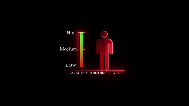 Parathyroid Hormone Level Indicator with Human Silhouette.4k Animation.