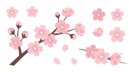 Cherry Blossom Branch Illustrations with Falling Petals
