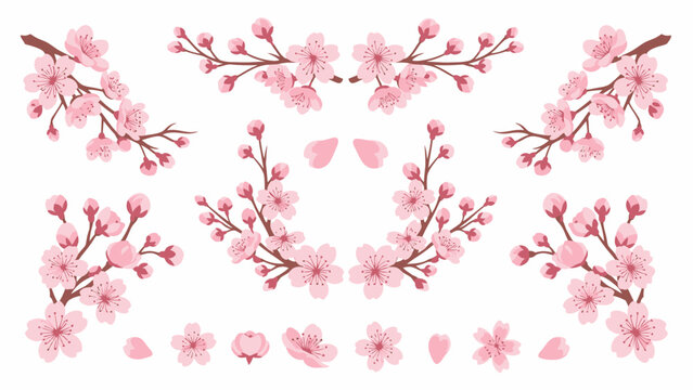 Cherry Blossom Branch Elements, Pink Flowers and Petals Isolated on White Background