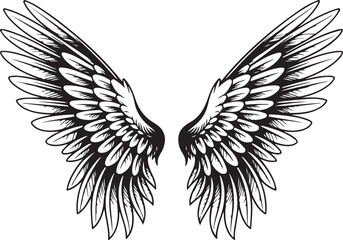 Fototapeta premium Black and white illustration of spread eagle wings