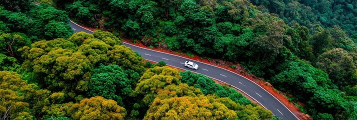 White electric car driving on a winding asphalt road through a lush green dense forest representing sustainable transportation and net zero emission eco travel