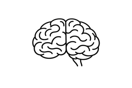 Human brain outline icon representing intelligence, memory, creativity, thinking, and mental health concepts on transparent background