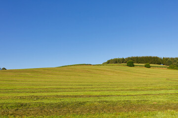 🌄 Ebenenlandschaft in nat&uuml;rlicher Darstellung

Eine ruhige und sachliche Darstellung der Landschaft mit klaren Strukturen.