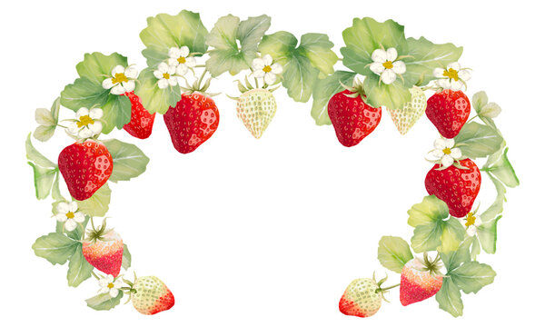 水彩で描いたナチュラルないちごの装飾フレーム