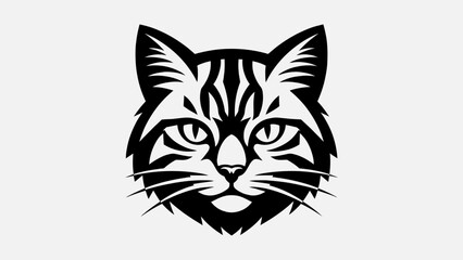 Obraz premium Black and White Cat Face