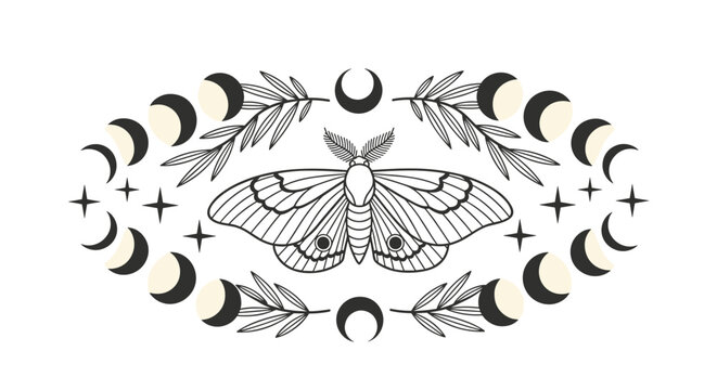 Symmetrical mystical design featuring a large moth surrounded by moon phases stars and leafy branches in a black and white line art style.