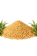 green beans on white background