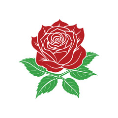 Red rose vector illustration on white background