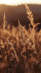 Obraz premium Generative AI capturing golden hour grassland with warm sunlight effect field scenery