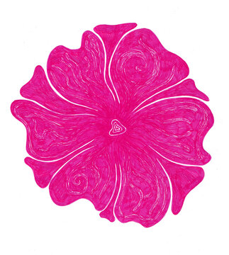 Detailed hand drawn illustration of a large pink flower with expressive marker strokes on a white background. Abstract drawing. Perfect raster art for design projects, printing, and vivid backdrops.