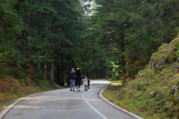 alley leading to the Black Lake in Montenegro