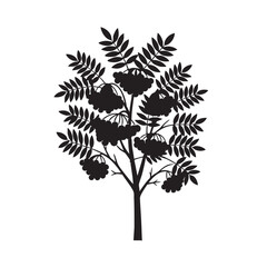 Black silhouette of a rowan tree with berries and leaves isolated on white background simple vector illustration for nature and autumn themes