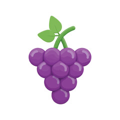 Purple Grape Bunch Icon Isolated
