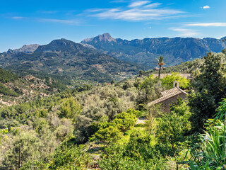 Lush green valley in a mountainous landscape view on Mallorca © Lars Johansson