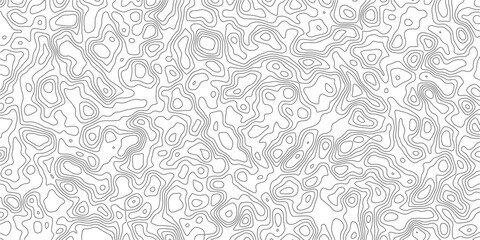Fototapeta premium Abstract Contour Lines Pattern