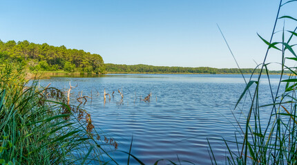 Cousseau Pond National Nature Reserve