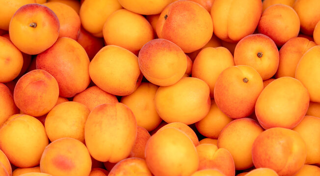 Lots of peaches