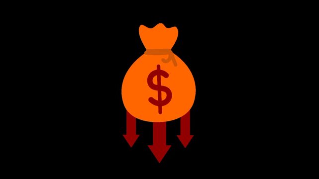 Animated money bag with downward arrow illustrating economic crisis and financial loss situation.