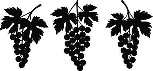 Obraz premium Grape bunch silhouettes set, vineyard fruit cluster with leaves, wine harvest botanical icons, black vector illustration, isolated
