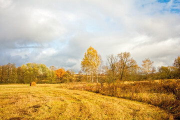 A mown field in late autumn on a cloudy day