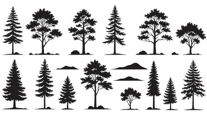 Fototapeta premium Various Silhouettes of Pine and Conifer Trees Collection.