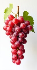 Fototapeta premium Fresh Red Grapes With Green Stem Isolated On White Background