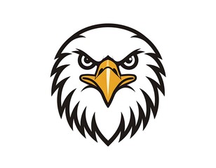 Obraz premium Bold eagle face in white and black, featuring a sharp yellow beak, against a pristine white backdrop