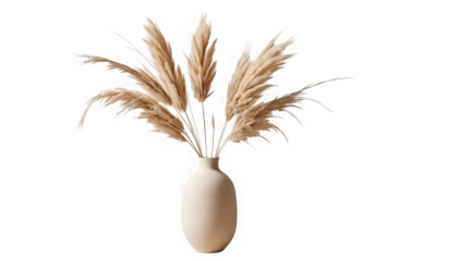 Elegant beige pampas grass arrangement displayed beautifully within a textured ceramic vase for modern home decor on transparent background