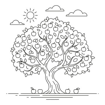 Apple tree illustration in black and white
