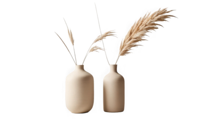 Two minimalist beige ceramic vases holding delicate dried pampas grass plumes and slender decorative stems on transparent background
