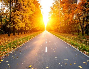 A road bisects autumnal trees, sun glinting on the horizon with fallen leaves. Light and shadow accentuating the road