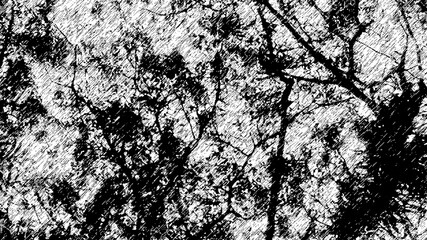 Obraz premium Black Abstract Grunge Texture Background