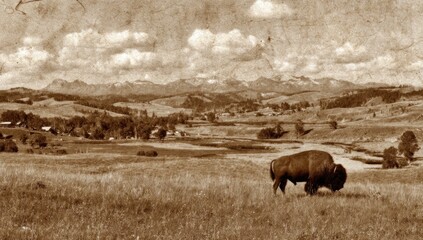 Sepia landscape; bison in field; distant mountains & village under cloudy sky