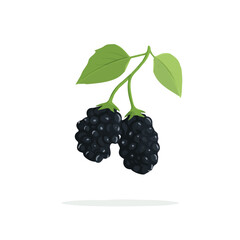2D flat vector illustration of Black Mulberry, designed in a clean icon style and isolated on a white background.