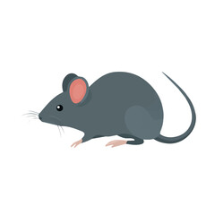 Mouse illustrated in a clean 2D flat vector style, minimal and modern, isolated on a white background.