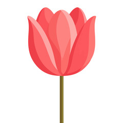 Simple flat 2D vector graphic of Tulip, modern icon look, displayed on a pure white background.