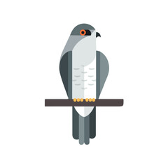 Minimal 2D vector illustration of Cuckoo in flat icon style on a plain white background.