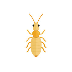 Termite in a clean 2D flat vector icon style, minimal and simple, set on a plain white background.