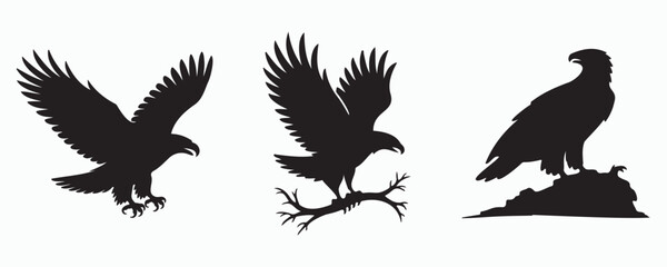 Obraz premium Set of black eagle silhouettes in different poses, including flying, landing on a branch, and perched on a rock. Minimal vector style isolated on white background.