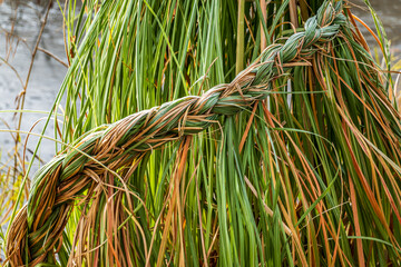braiding grass in winter