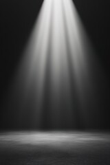Obraz premium vertical image strong light falls from above onto bare stage in dark setting. area is empty and ready for performances. light creates open and inviting space for activities