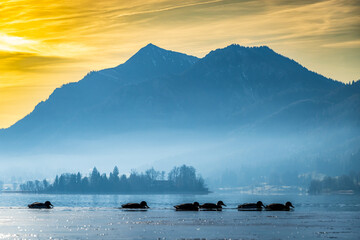 famous lake schliersee - bavaria