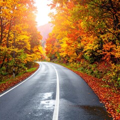 Scenic road curves through colorful autumn trees, sunlight filtering through. Fallen leaves litter the roadside