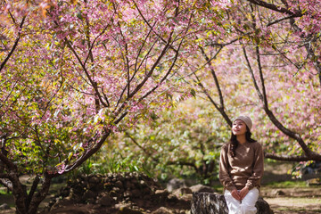 Portrait image of a woman sitting under a pink cherry blossom trees in the park