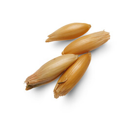 Oats isolated on transparent background