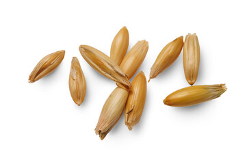 Oats isolated on transparent background