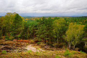 Hurlevent viewpoint in Fontainebleau forest. &Icirc;le-de-France region