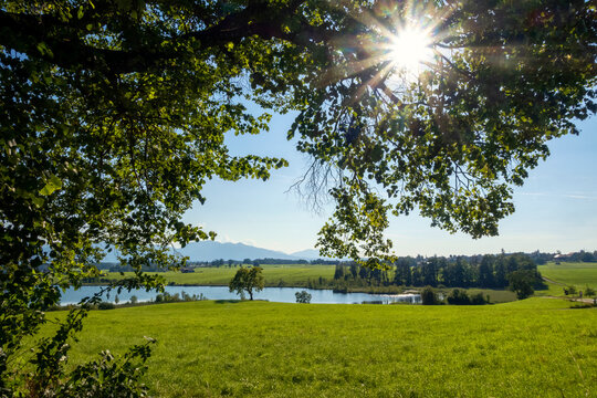 Sun rays shining through tree over Riegsee lake in Bavaria